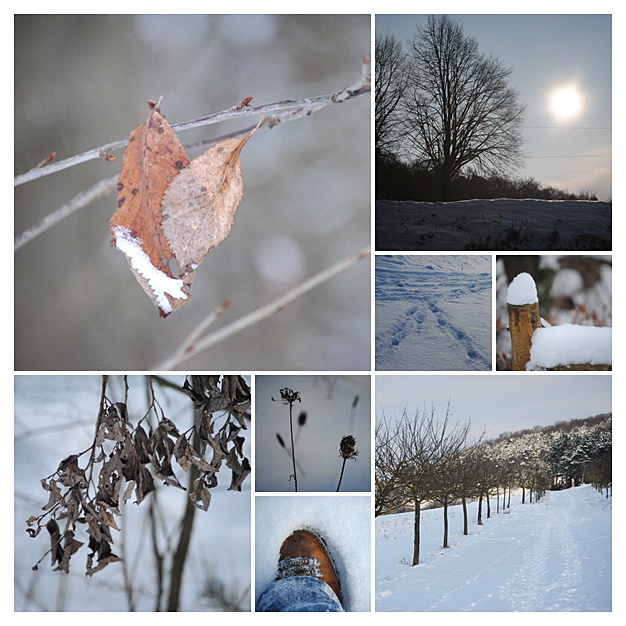 Winterspaziergang