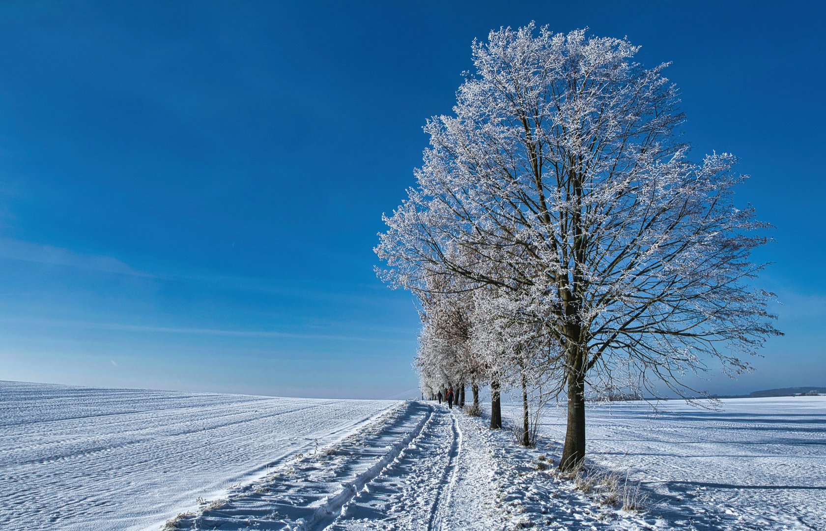 Winterspaziergang