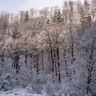 Winterspaziergang