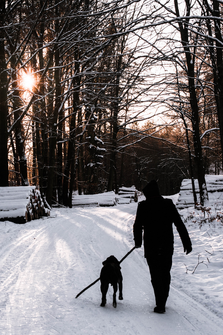 Winterspaziergang