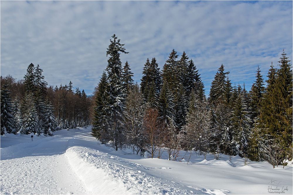 Winterspaziergang