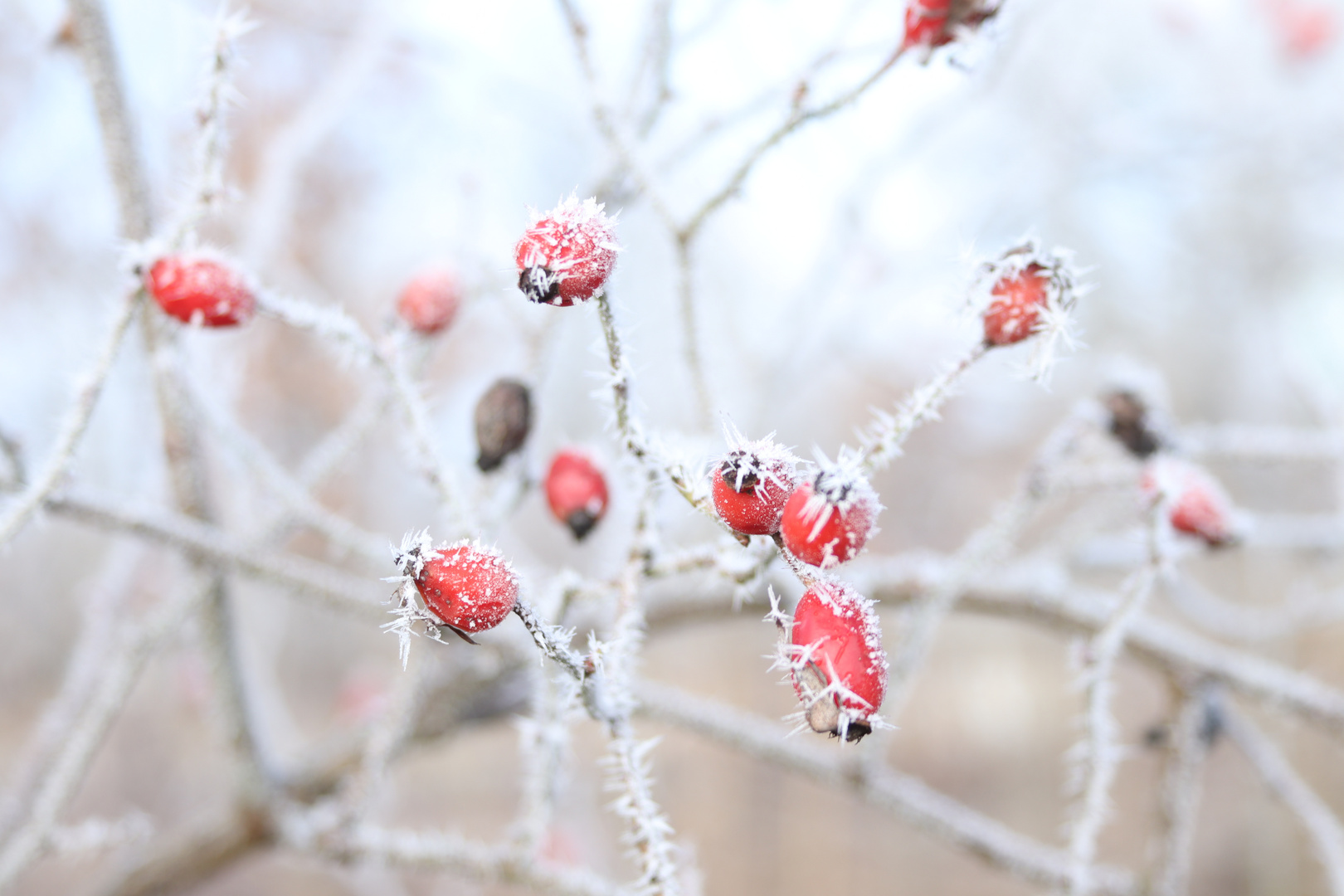 Winterspaziergang