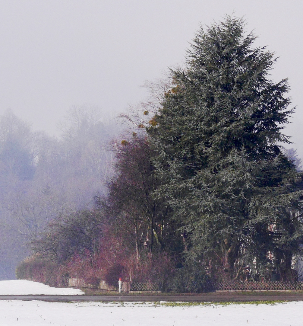 Winterspaziergang