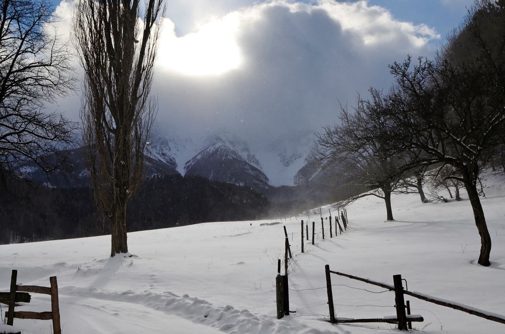 Winterspaziergang