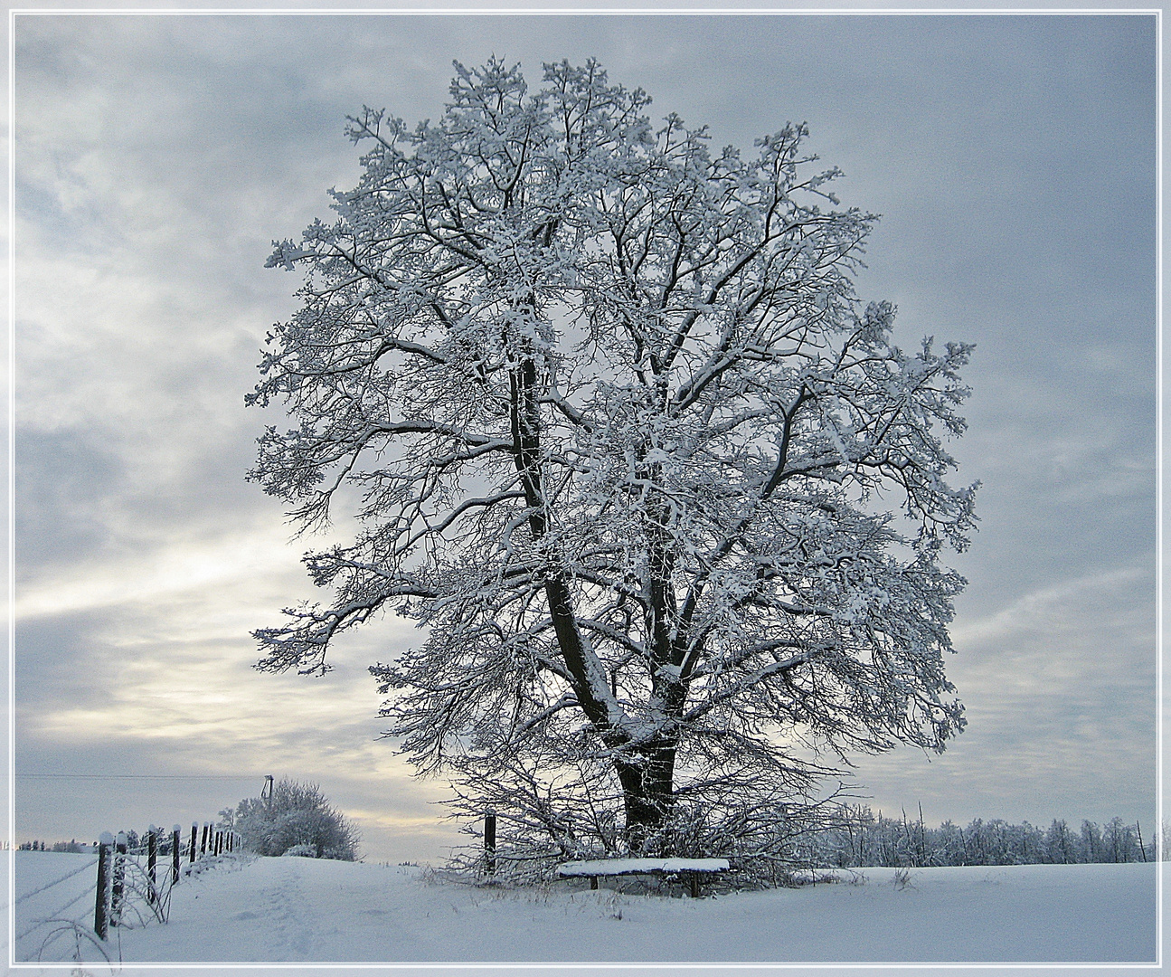 Winterspaziergang