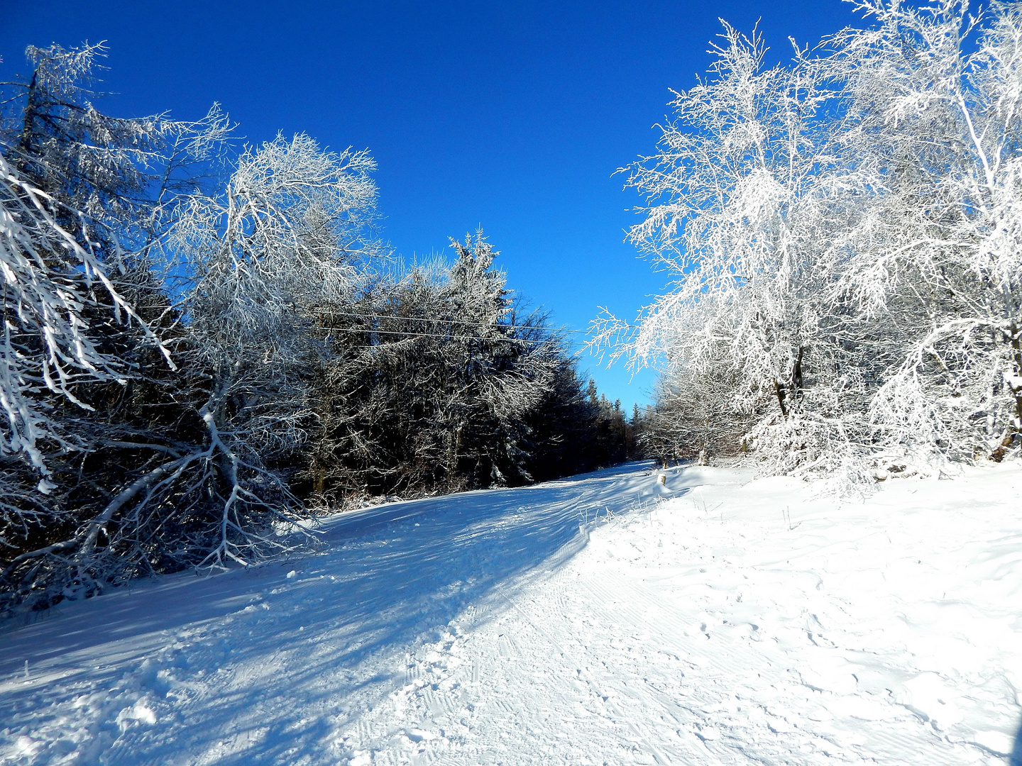 Winterspaziergang