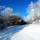 Winterspaziergang