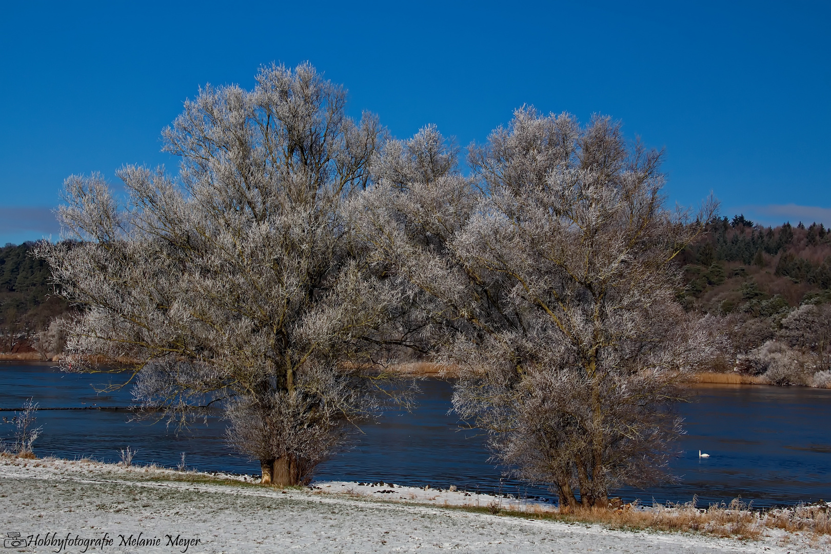 Winterspaziergang