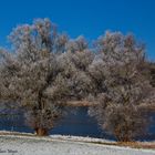 Winterspaziergang