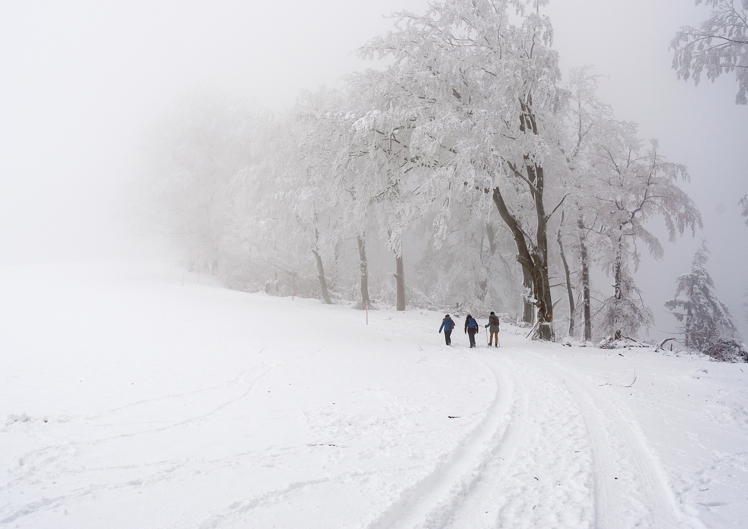 Winter.Spaziergang