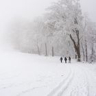 Winter.Spaziergang