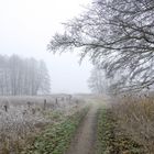 Winterspaziergang