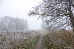 Winterspaziergang