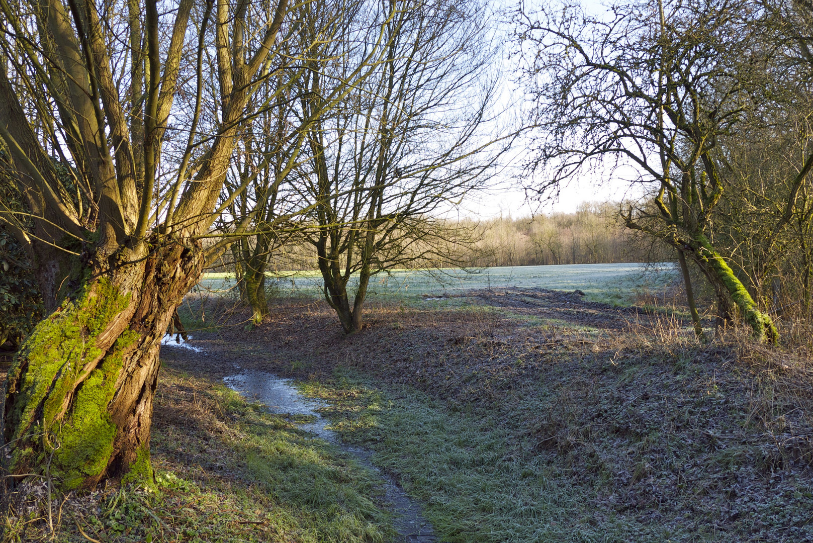 Winterspaziergang