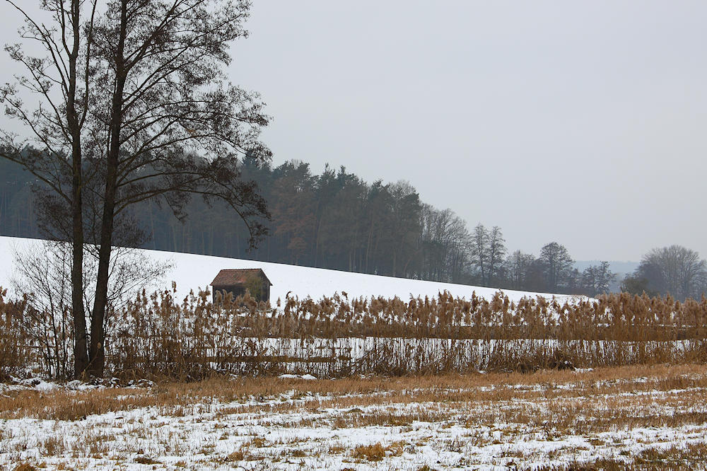 Winterspaziergang