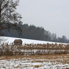 Winterspaziergang