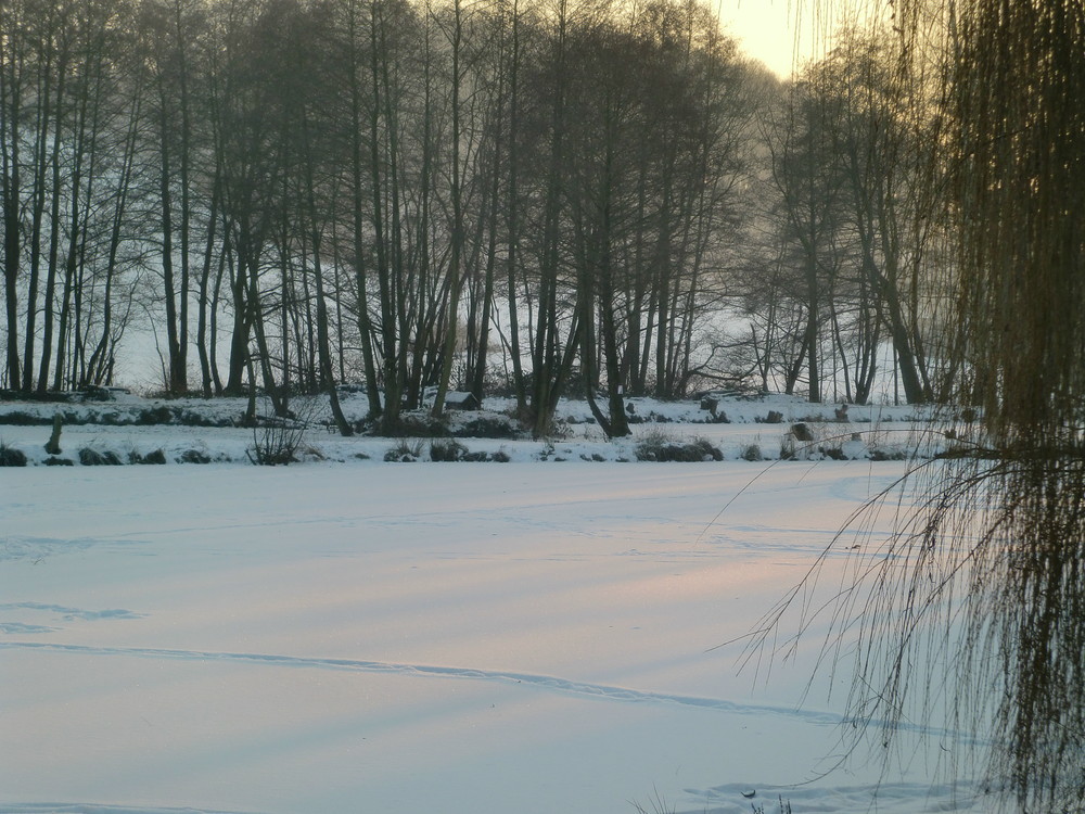 Winterspaziergang