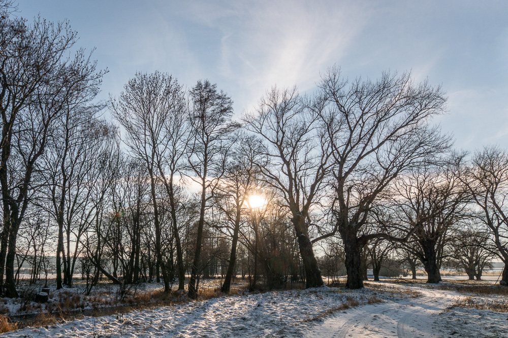 Winterspaziergang