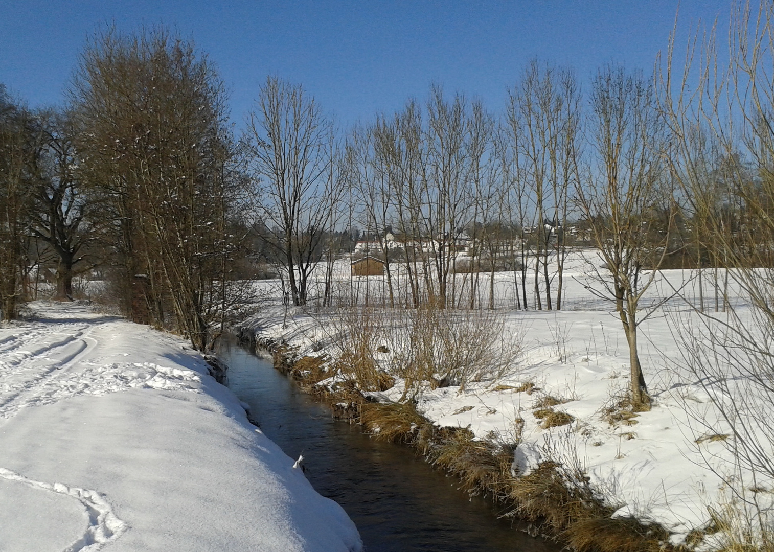 Winterspaziergang am Aubach 1