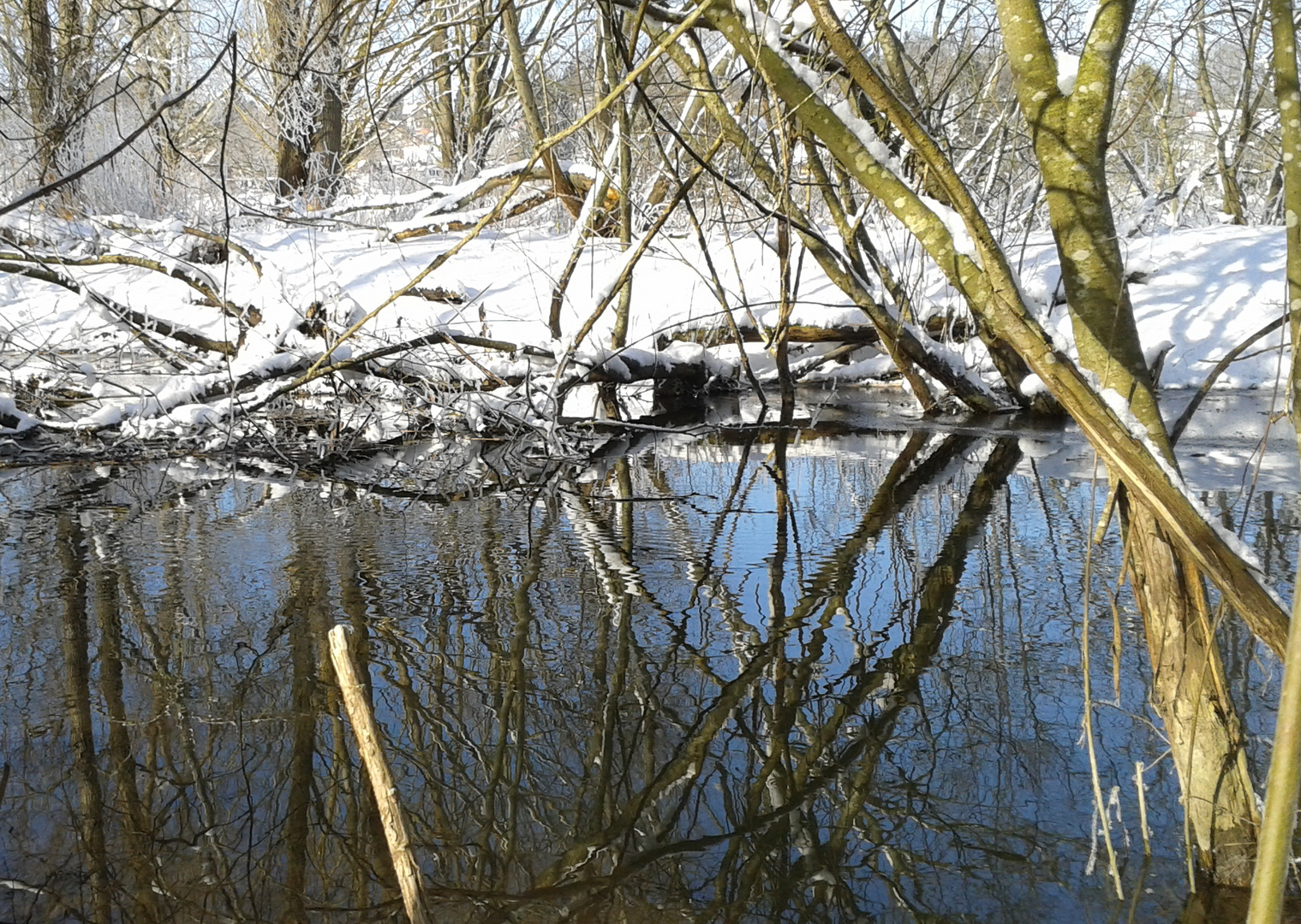 Winterspaziergang am Aubach 2