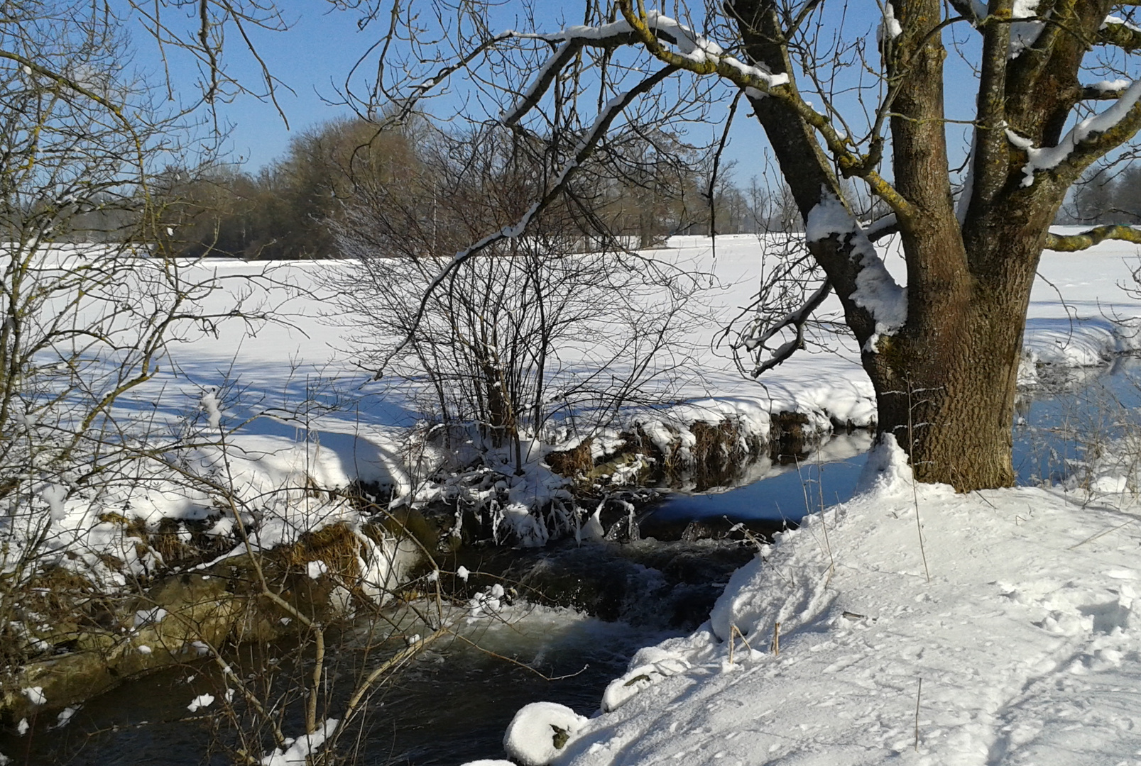 Winterspaziergang am Aubach 3