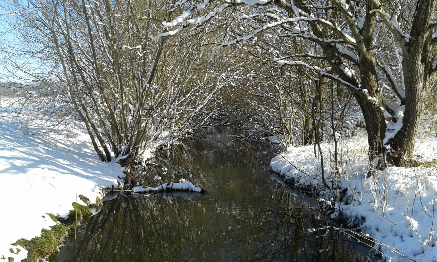 Winterspaziergang am Aubach 4