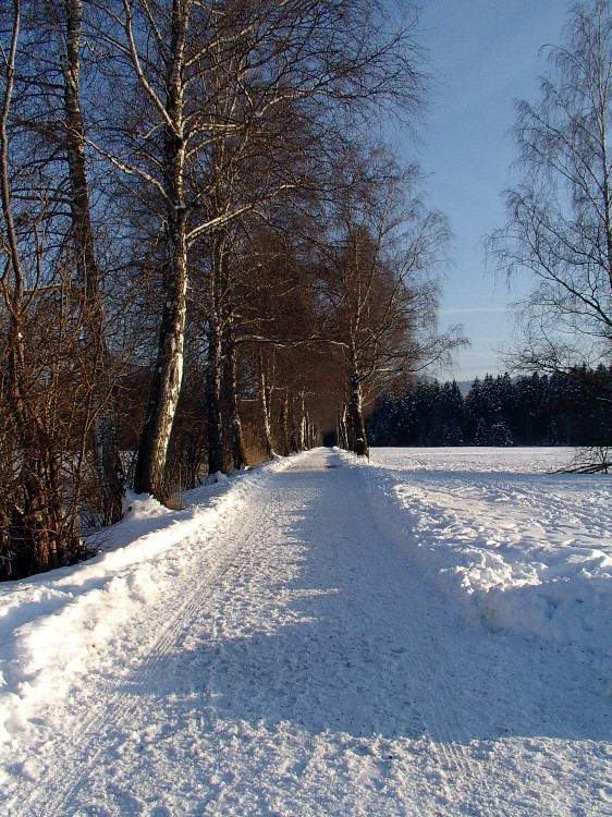 Winterspaziergang am Hopfensee