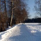 Winterspaziergang am Hopfensee