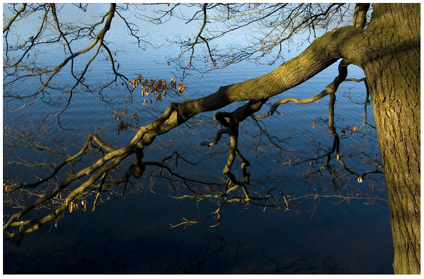 Winterspaziergang am Laacher See #1