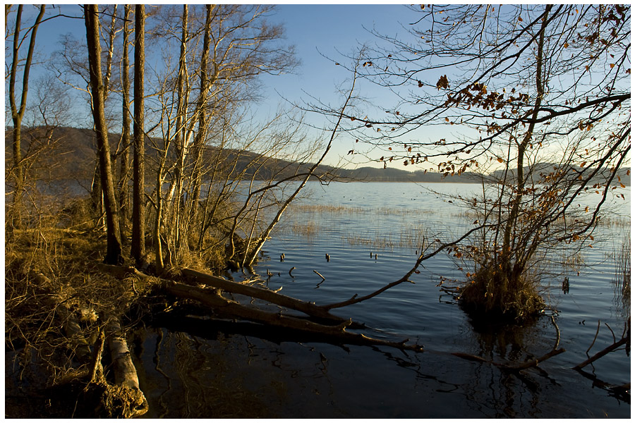 Winterspaziergang am Laacher See #7