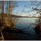 Winterspaziergang am Laacher See #7