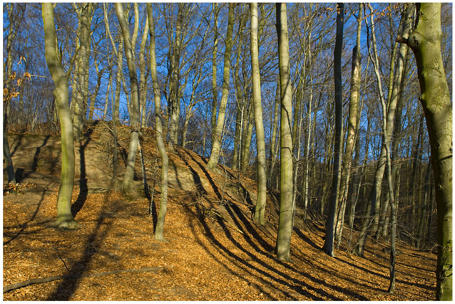 Winterspaziergang am Laacher See #8