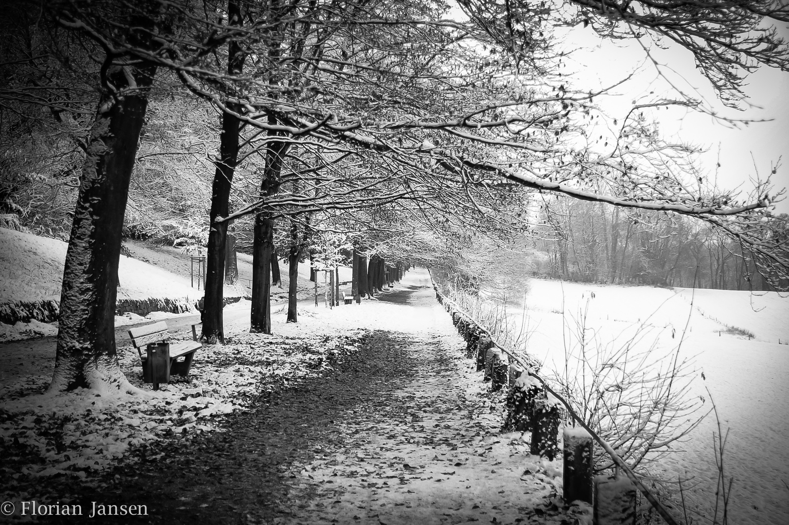 Winterspaziergang am Lousberg