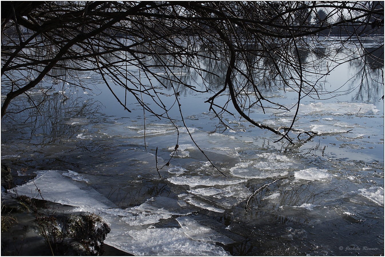 Winterspaziergang am Main I