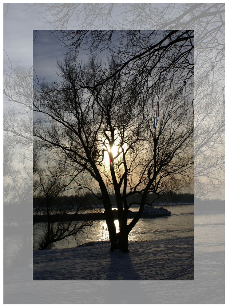 winterspaziergang am rhein von engler petra 