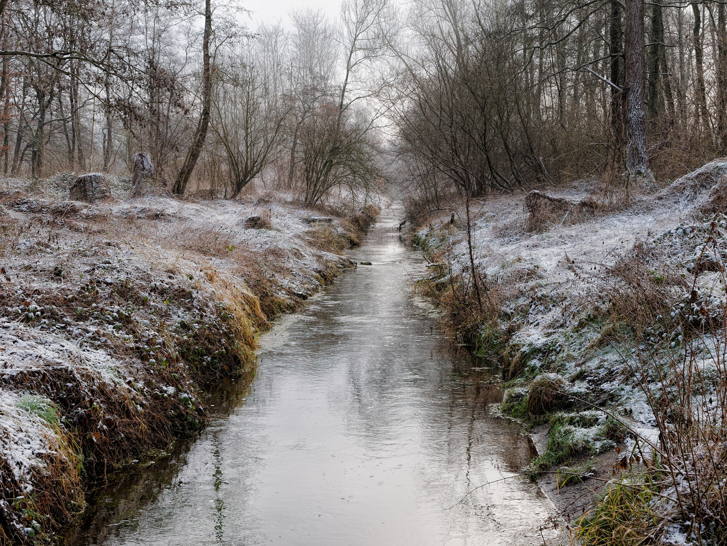 Winterspaziergang am Rodebach