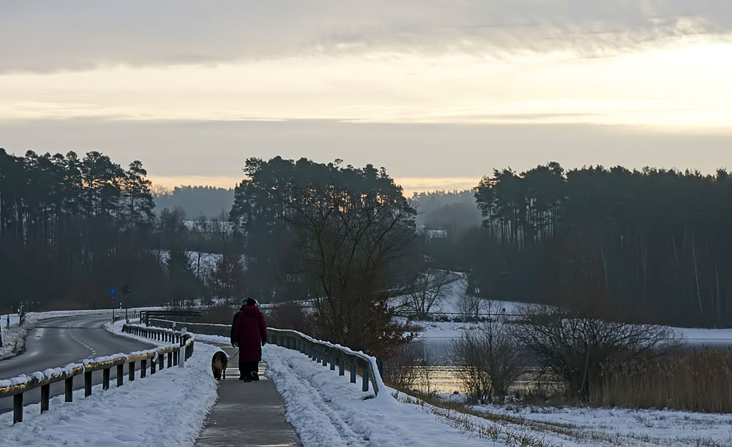 Winterspaziergang am Rothsee (1)