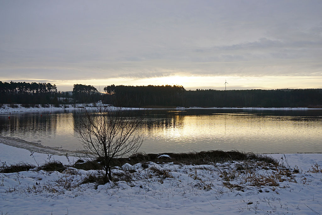 Winterspaziergang am Rothsee (2)