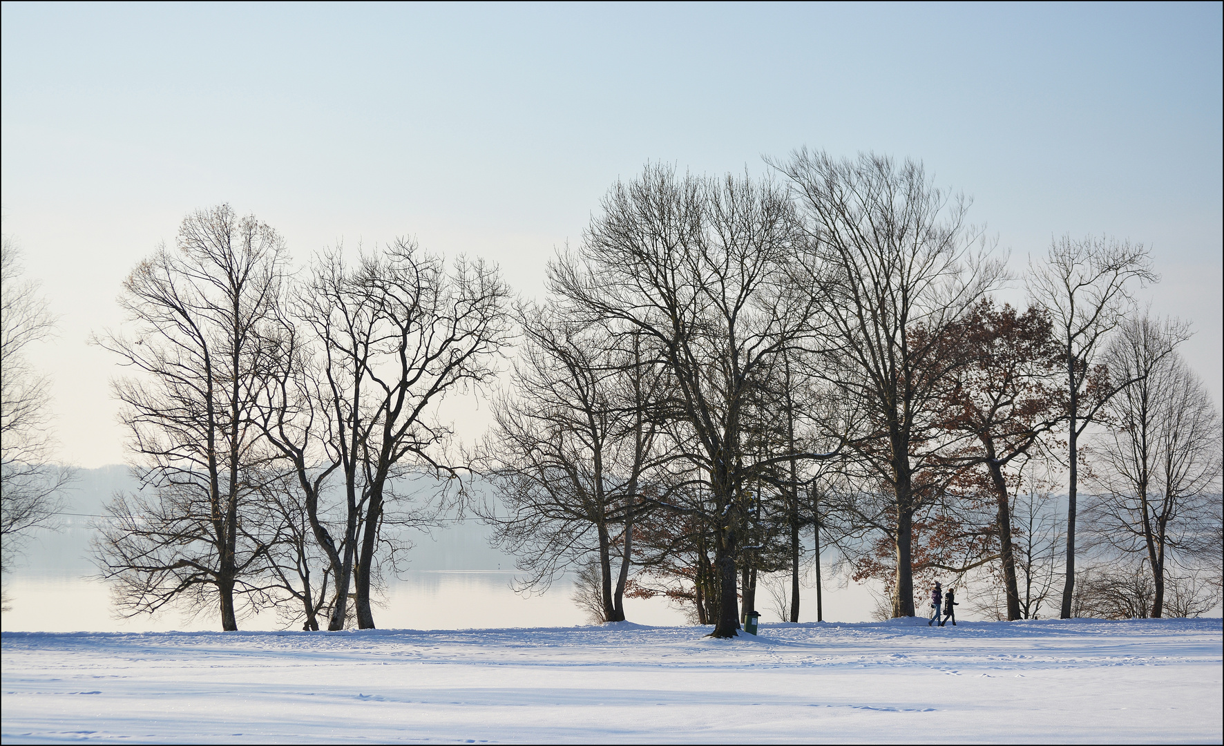 Winterspaziergang am See