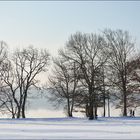 Winterspaziergang am See