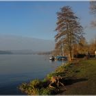 Winterspaziergang am See II