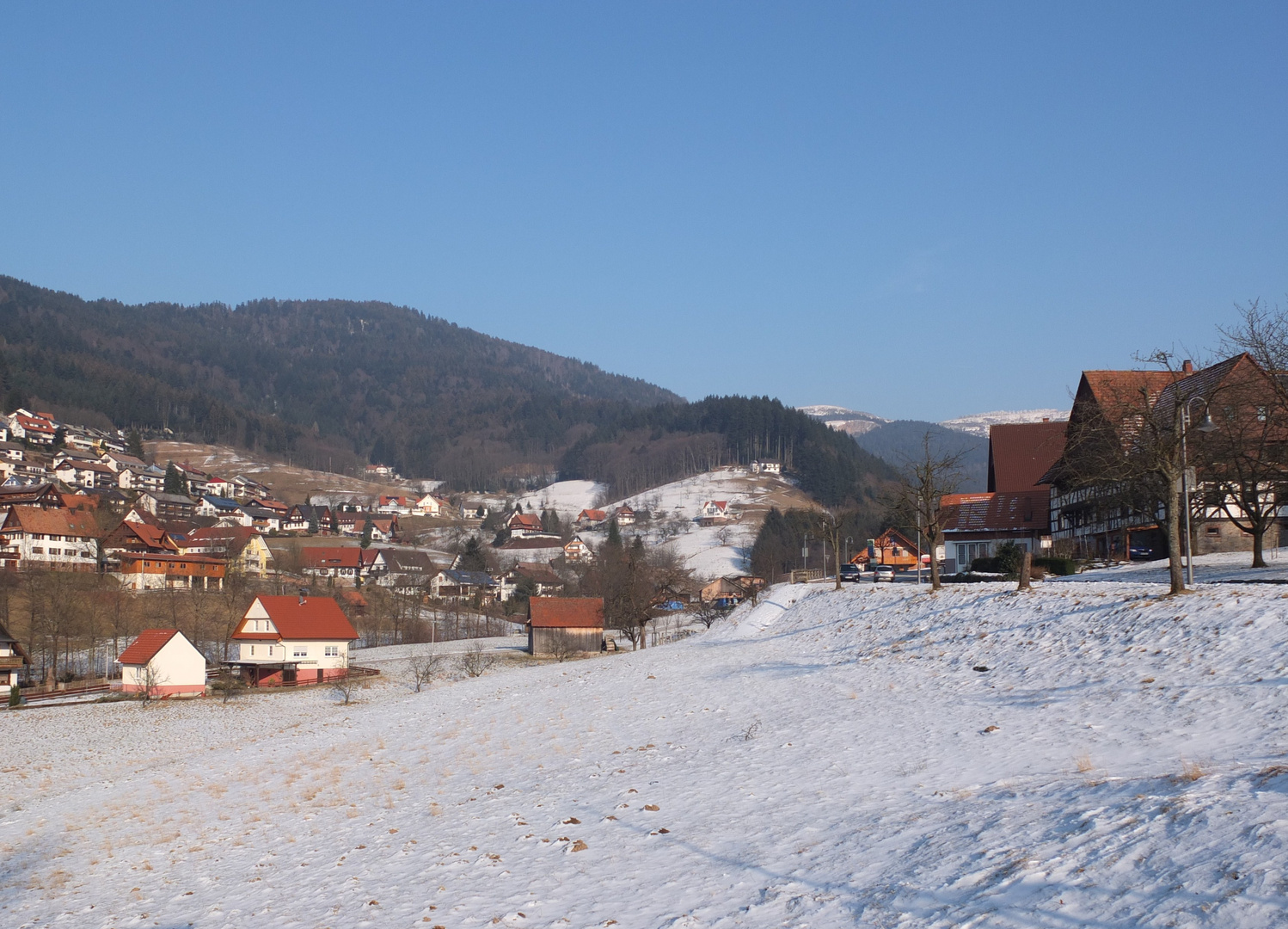 Winterspaziergang am Sonntag im nördlichen Schwarzwald II