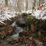 Winterspaziergang am und im Langhecker Bach 02