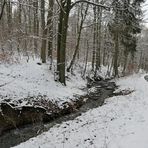 Winterspaziergang am und im Langhecker Bach 03