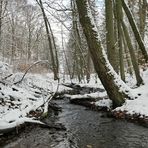 Winterspaziergang am und im Langhecker Bach 04