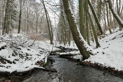 Winterspaziergang am und im Langhecker Bach 04