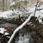 Winterspaziergang am und im Langhecker Bach 05