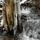 Winterspaziergang am und im Langhecker Bach 06