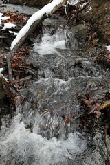 Winterspaziergang am und im Langhecker Bach 07
