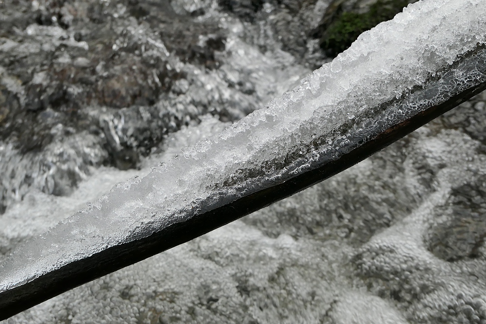 Winterspaziergang am und im Langhecker Bach 08